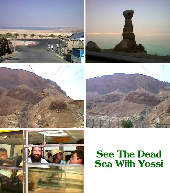 See The Dead Sea with Yossi